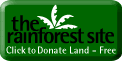 Visit The Rainforest site now!